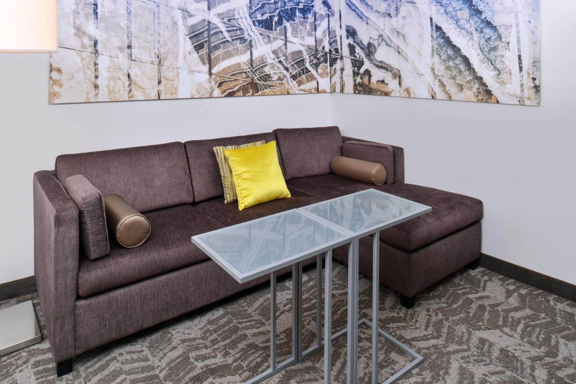 Springhill Suites By Marriott Detroit Metro Airport Romulus Esterno foto