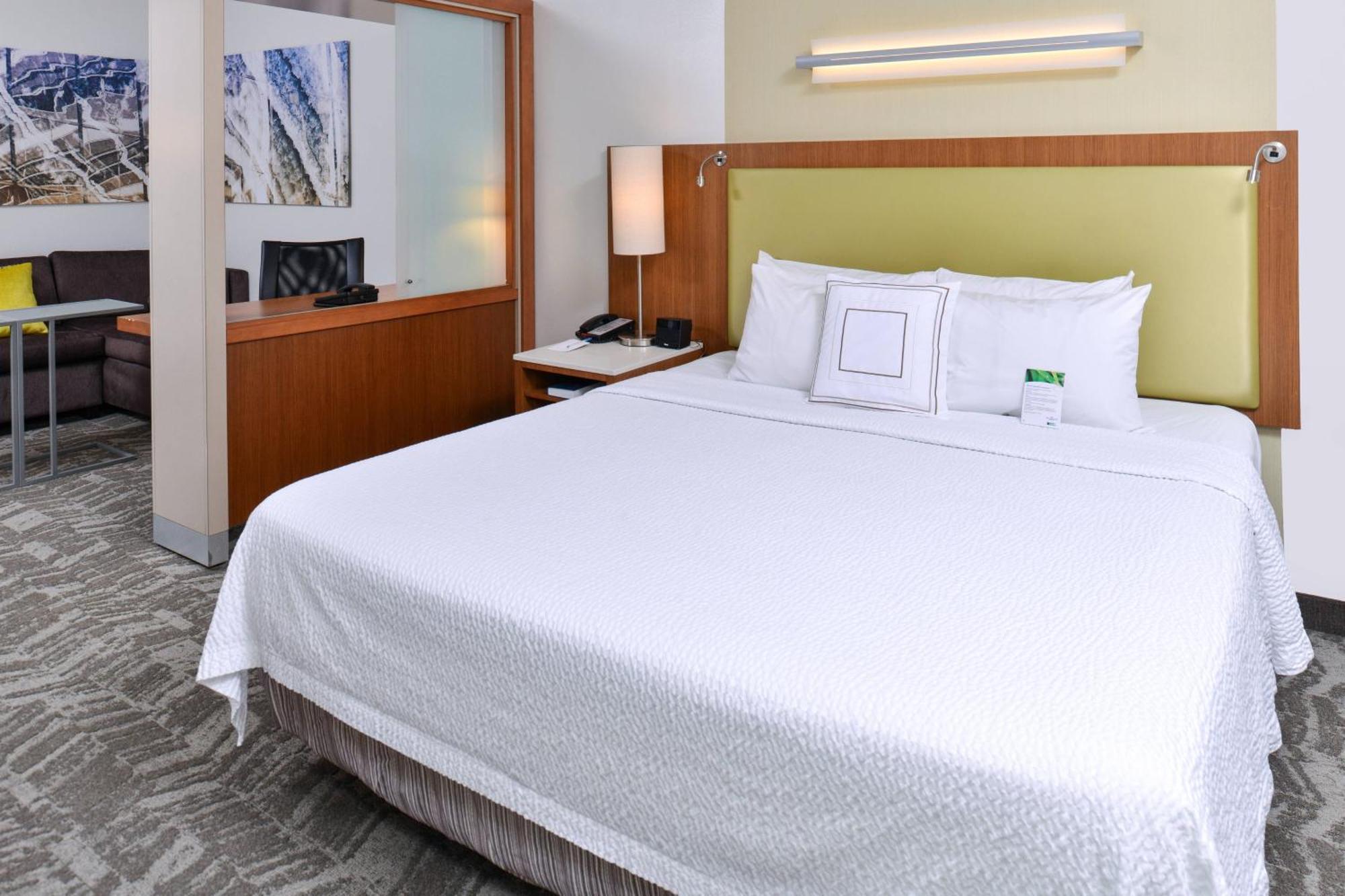 Springhill Suites By Marriott Detroit Metro Airport Romulus Esterno foto